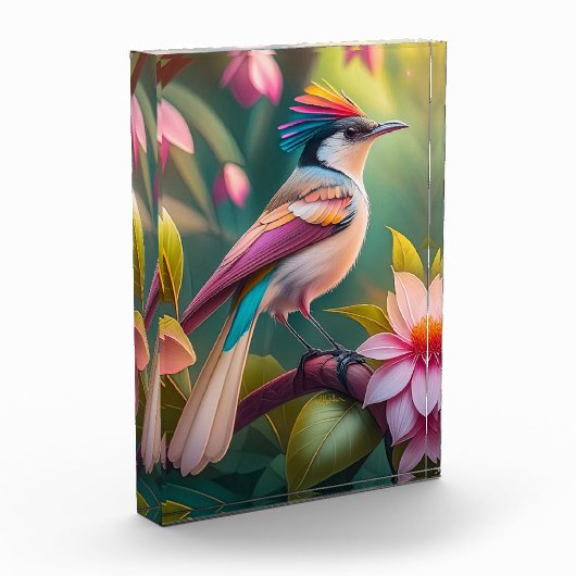 Rainbow-Jay Fantasy Bird Fotoblock (Links)