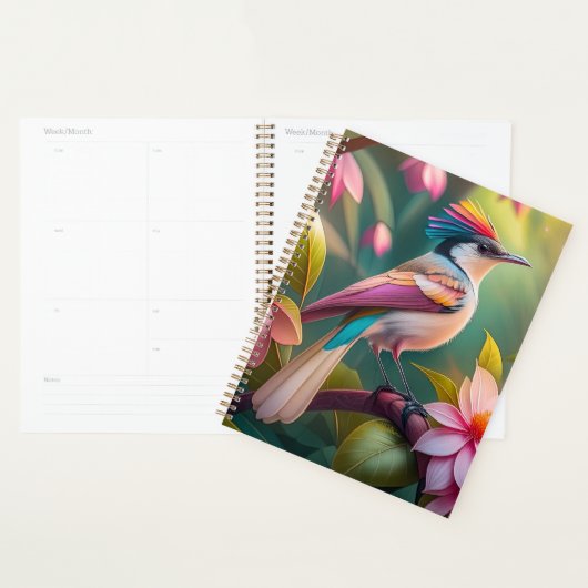 Rainbow-Jay Fantasy Bird Planer (Anzeige)