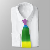 Rainbow-Krawatte Krawatte (Gebunden)