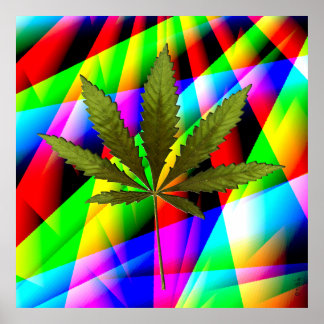 Rainbow Leaf.... Poster