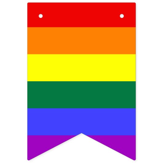 Rainbow LGBTQIA+ Jagdflaggen Wimpelkette (Zweite Fahne)