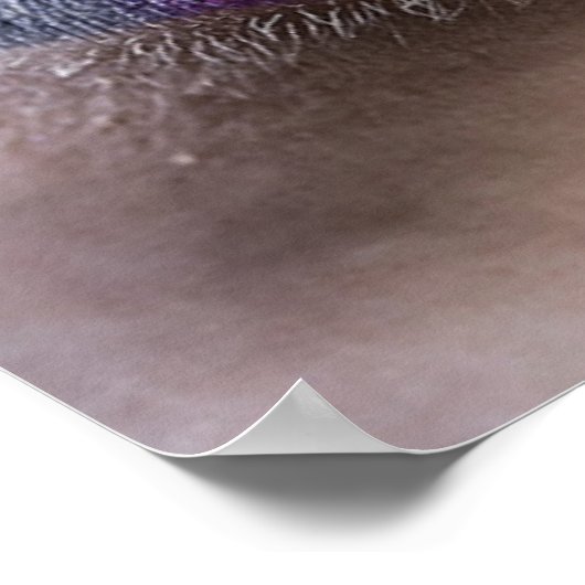 Rainbow Lips Poster (Ecke)