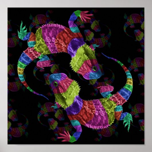 Rainbow Lizards Poster (Vorne)