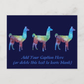 Rainbow Llamas Postkarte (Vorderseite)