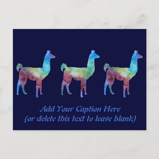 Rainbow Llamas Postkarte (Vorderseite)