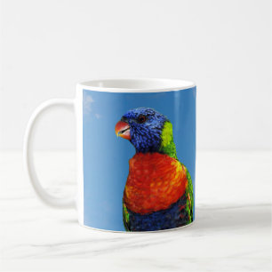 Rainbow-Lorikees, zwei auf einem Zweig Kaffeetasse