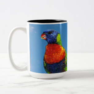 Rainbow-Lorikees, zwei auf einem Zweig Zweifarbige Tasse