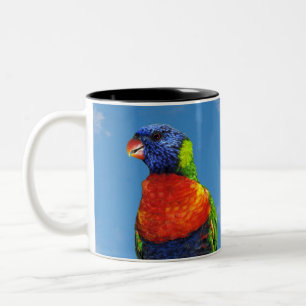 Rainbow-Lorikees, zwei auf einem Zweig Zweifarbige Tasse