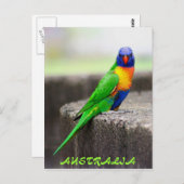 Rainbow Lorikeet, AUSTRALIA Postkarte (Vorne/Hinten)