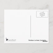 Rainbow Lorikeet, Australien Postkarte (Rückseite)
