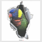Rainbow Lorikeet Bird Decal– Exotic Parrot Sticker (Blatt)