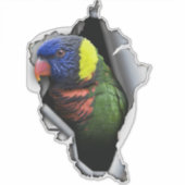 Rainbow Lorikeet Bird Decal– Exotic Parrot Sticker (Vorderseite)
