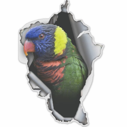 Rainbow Lorikeet Bird Decal– Exotic Parrot Sticker (Vorderseite)