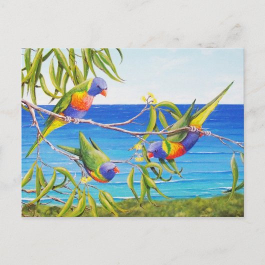 Rainbow Lorikeet Birds Blue Australian Painting Postkarte (Vorderseite)