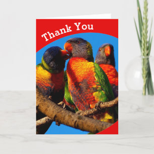 Rainbow Lorikeet blank Danke Karte