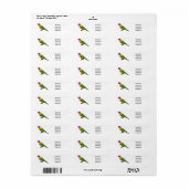 Rainbow-Lorikeet-Cartoon (Vorne)