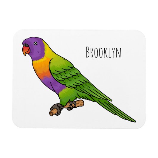 Rainbow-Lorikeet-Cartoon Magnet (Horizontal)