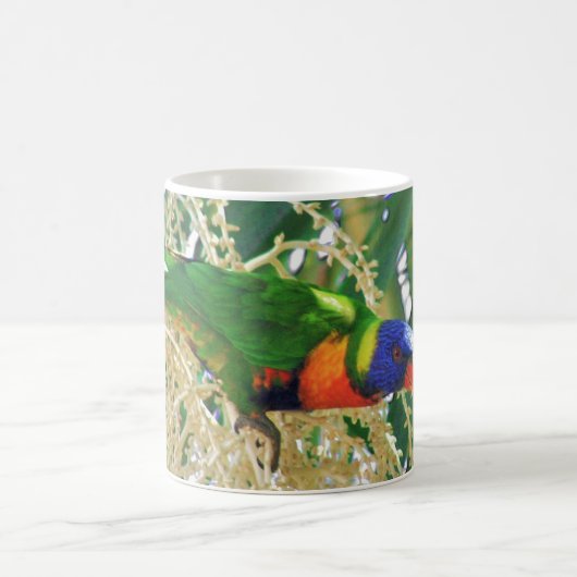 Rainbow Lorikeet Green Australian Bird Foto Kaffeetasse (Mittel)