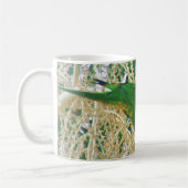 Rainbow Lorikeet Green Australian Bird Foto Kaffeetasse (Links)