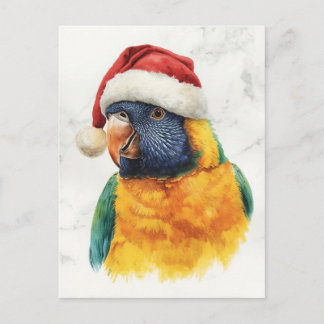 Rainbow Lorikeet in Santa Hat Watercolor Feiertagspostkarte