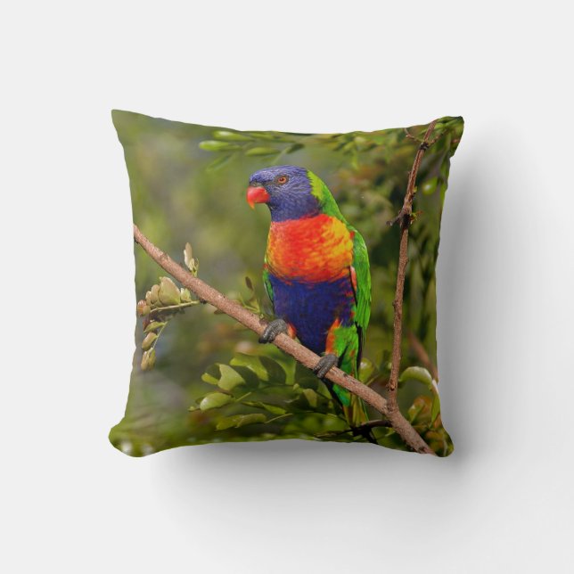 Rainbow Lorikeet Kissen (Vorderseite)