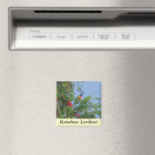 Rainbow Lorikeet Magnet (In Situ (Geschirrspüler))