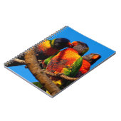 Rainbow Lorikeet Notebook Notizblock (Linke Seite)