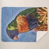 Rainbow Lorikeet Parrot Bird Sherpadecke (Vorderseite (Horizontal))