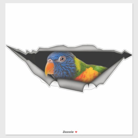Rainbow Lorikeet Parrot Sticker – Colorful Bird (Blatt)