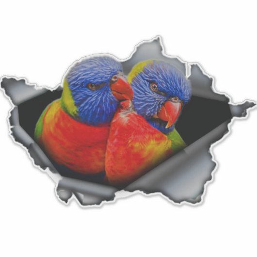 Rainbow Lorikeet Parrot Sticker – Vibrant Bird  (Vorderseite)