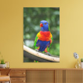 Rainbow Lorikeet Portrait Leinwanddruck (Insitu (Wohnzimmer))