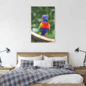 Rainbow Lorikeet Portrait Leinwanddruck (Insitu (Schlafzimmer))