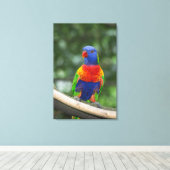Rainbow Lorikeet Portrait Leinwanddruck (Insitu (Holzboden))