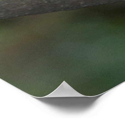 Rainbow Lorikeet Portrait Poster (Ecke)