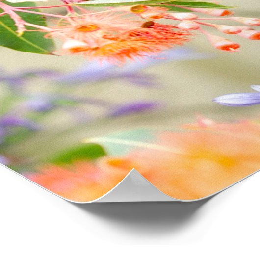 Rainbow Lorikeet Poster (Ecke)