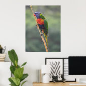 Rainbow Lorikeet Poster (Heimbüro)