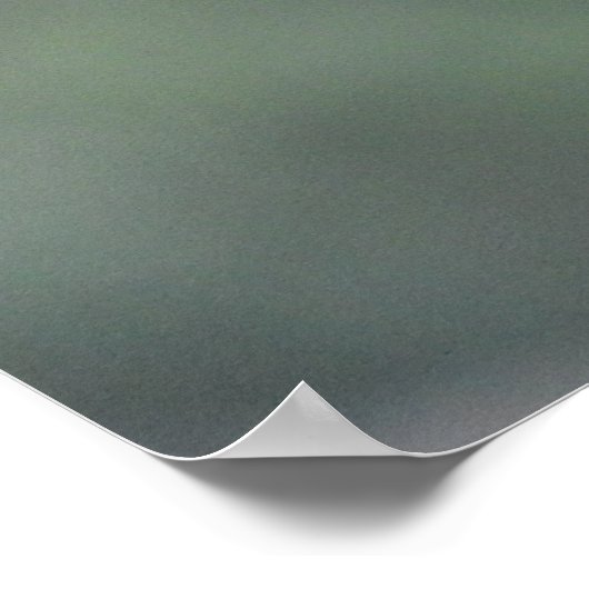 Rainbow Lorikeet Poster (Ecke)