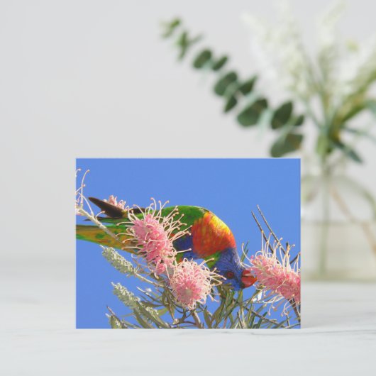 Rainbow Lorikeet Postkarte (Stehend Vorderseite)