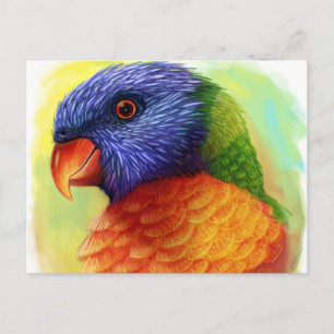Rainbow-Lorikeet Postkarte