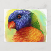 Rainbow-Lorikeet Postkarte (Vorderseite)