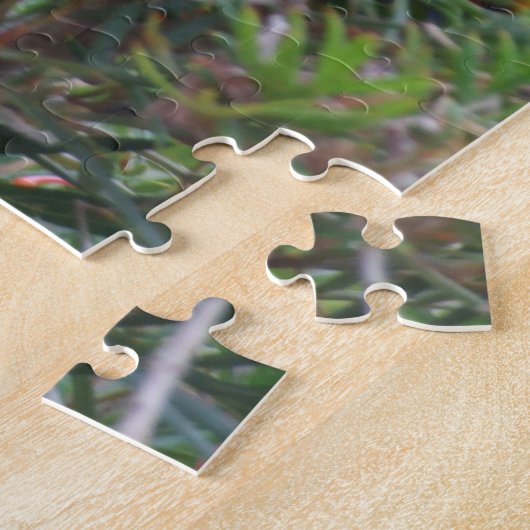 Rainbow Lorikeet Puzzle (Seite)