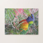Rainbow Lorikeet Puzzle (Horizontal)