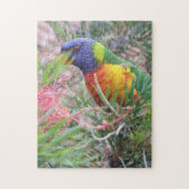 Rainbow Lorikeet Puzzle (Vertikal)