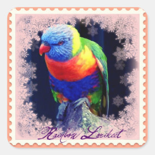 RAINBOW LORIKEET QUADRATISCHER AUFKLEBER