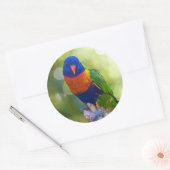 Rainbow Lorikeet Runder Aufkleber (Umschlag)