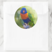 Rainbow Lorikeet Runder Aufkleber (Tasche)