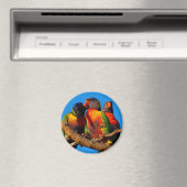 Rainbow Lorikeet, Rundmagnet Magnet (In Situ (Geschirrspüler))