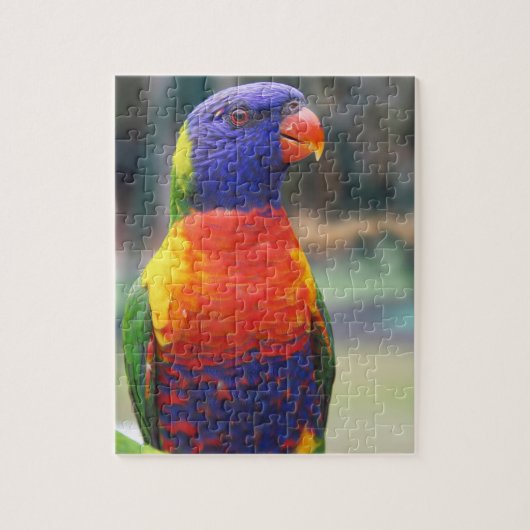 Rainbow Lorikeet (Trichoglossus haematodus 2 Puzzle (Vertikal)