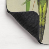 Rainbow Lorikeet - Trichoglossus haematodus Mousepad (Ecke)