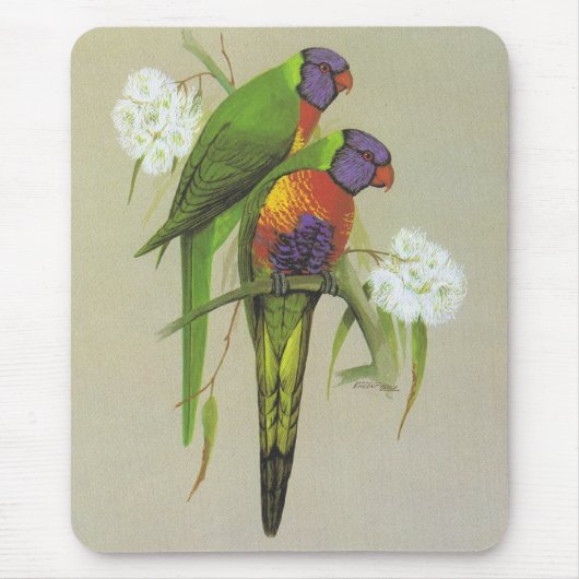 Rainbow Lorikeet - Trichoglossus haematodus Mousepad (Vorne)